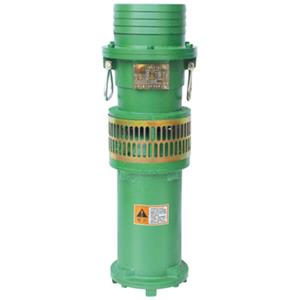 W (D) X small submersible pump